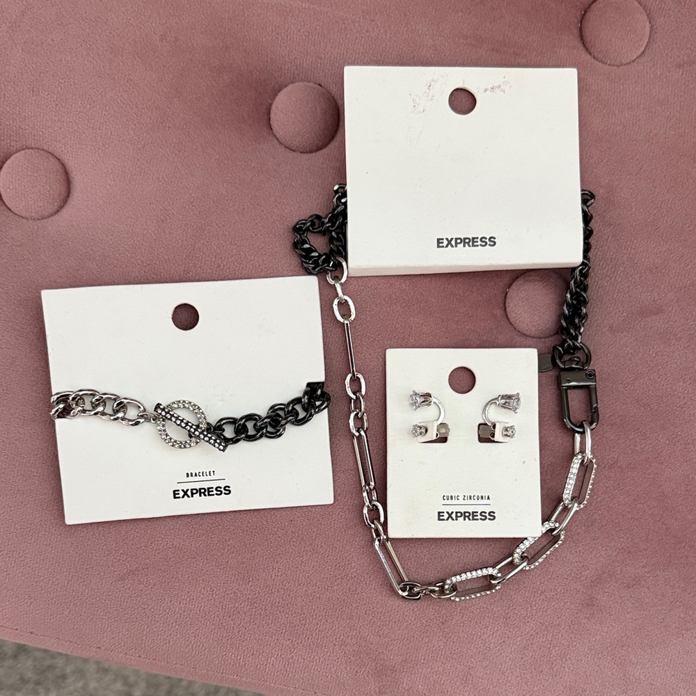 Express Black and Silver Chain Bracelet and Earring Set